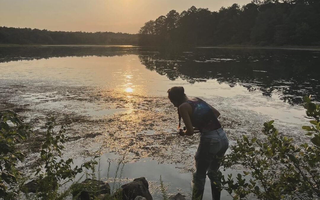 Galactic Truth Rebel Starseed